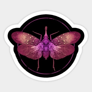 Lanternfly Sticker